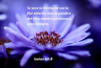 Isaías 40:8 Flores (púrpura)